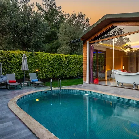 Terra Pine Guest house